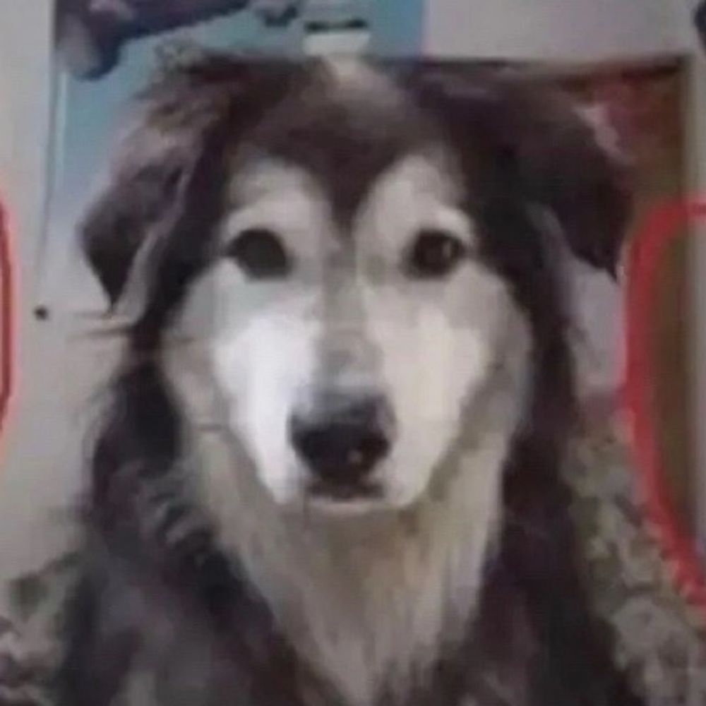 Kosmo