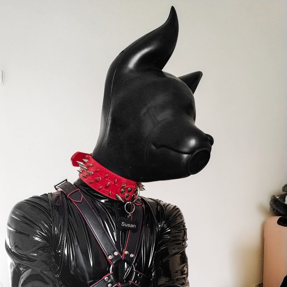 kinkysussan.bsky.social