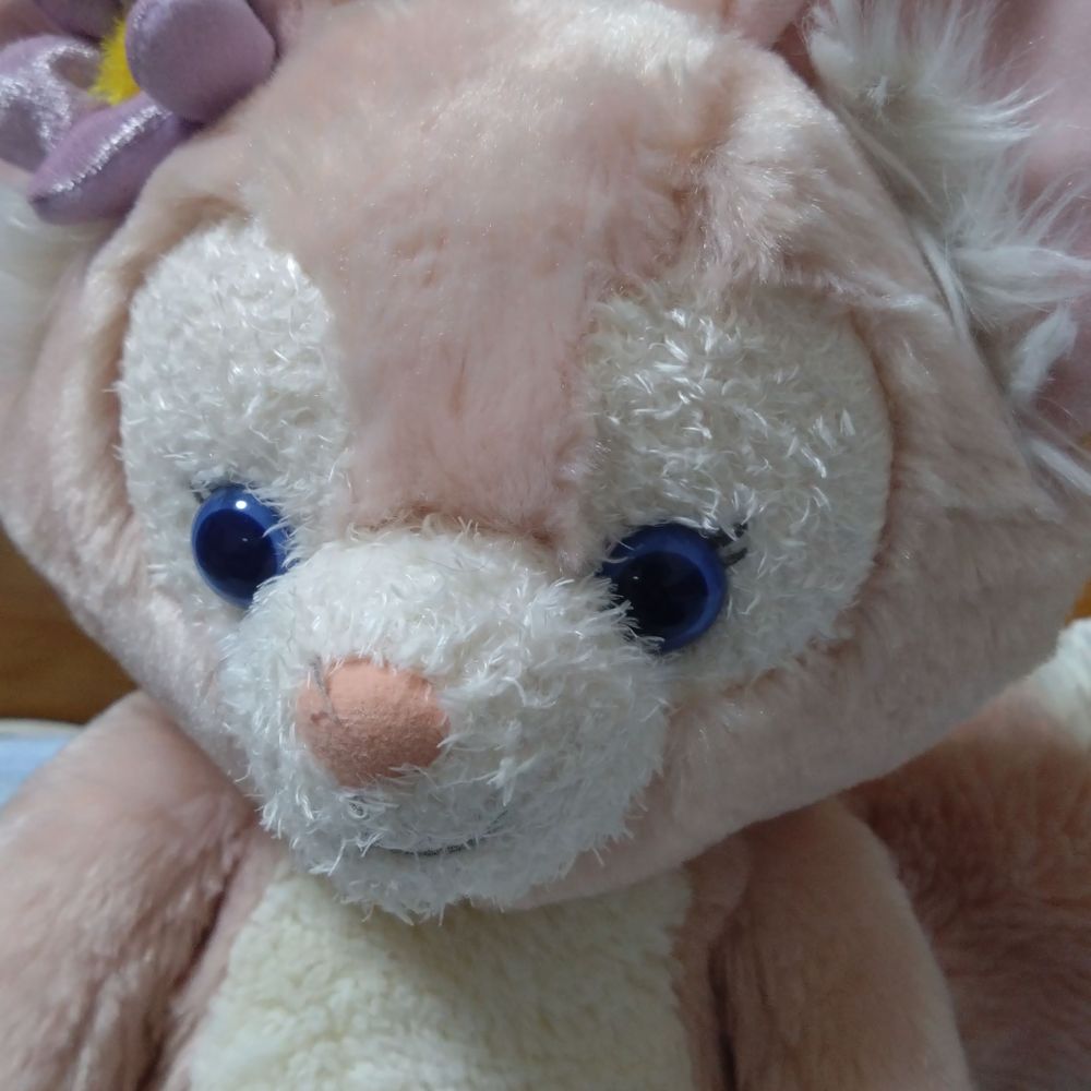 ゆき