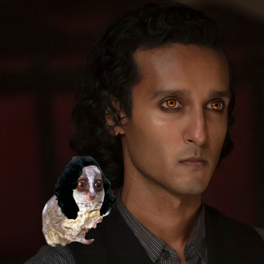 "Flavius, hold me."