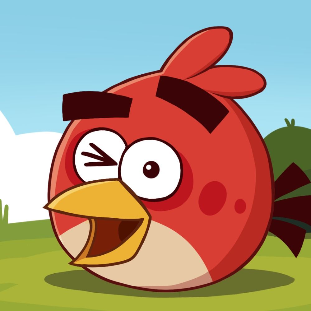 Angry Birds Network