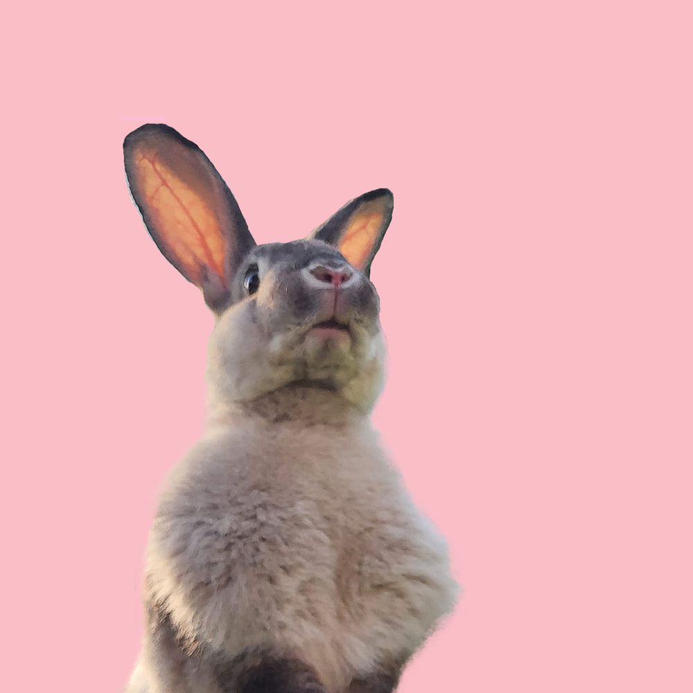 Milka
