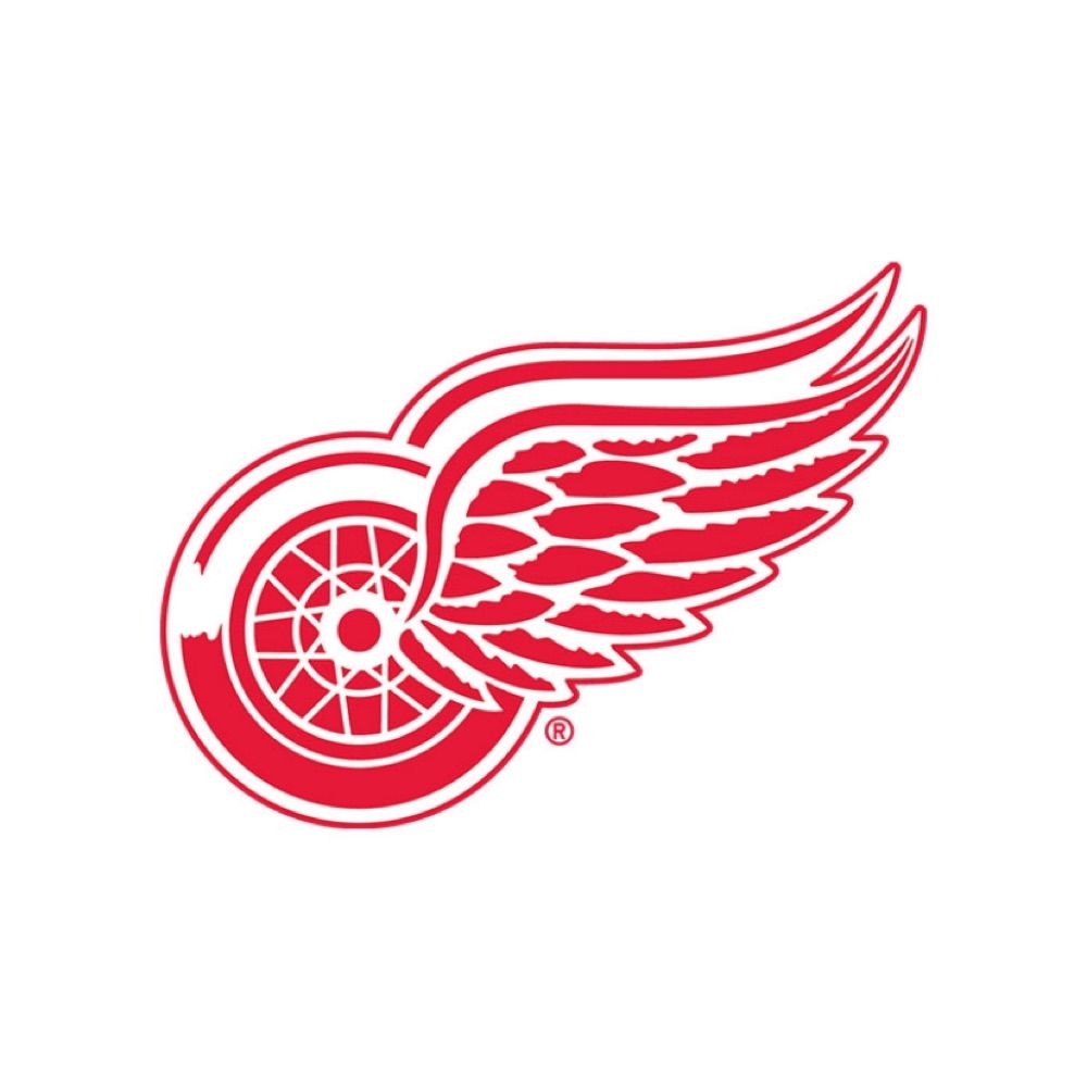 Detroit Red Wings Hockey Club's avatar