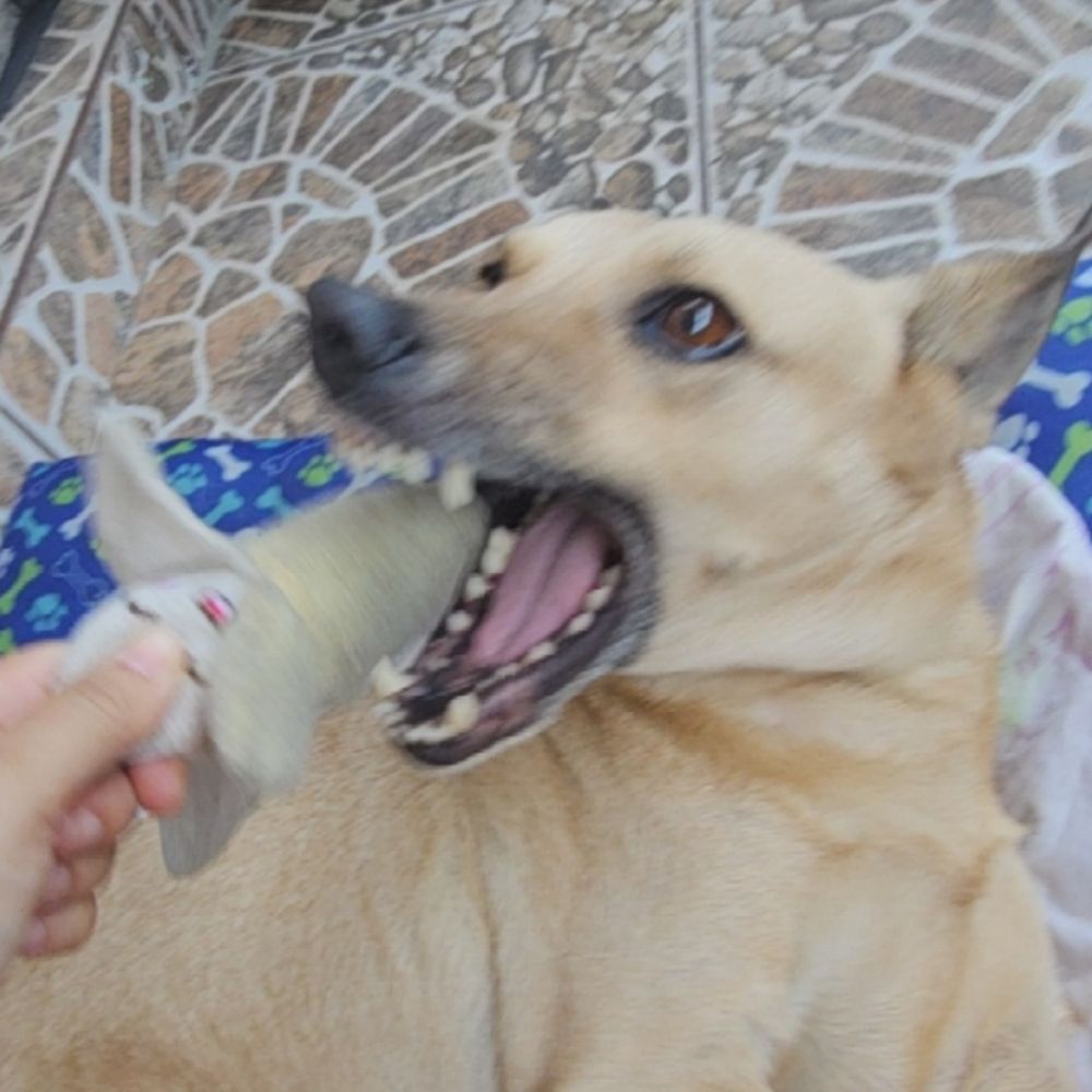 alealeale