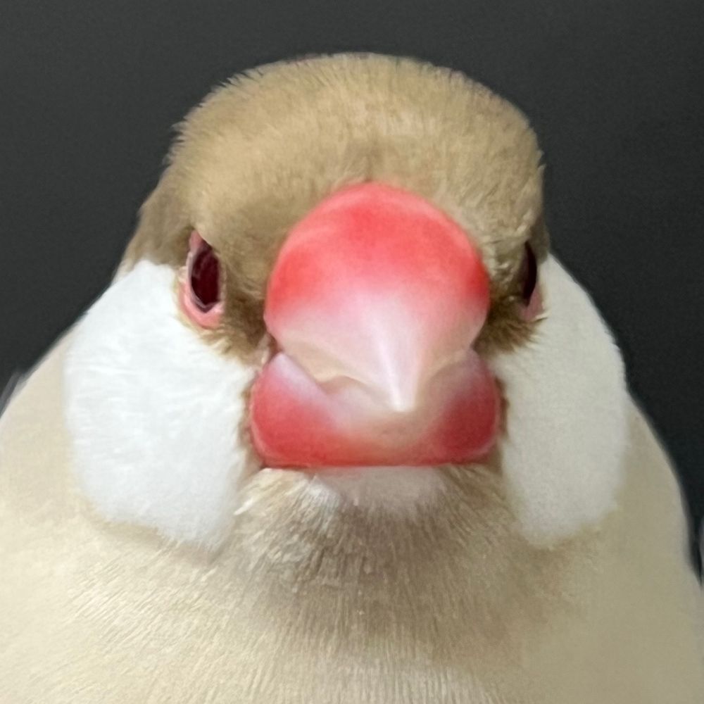 ンナ