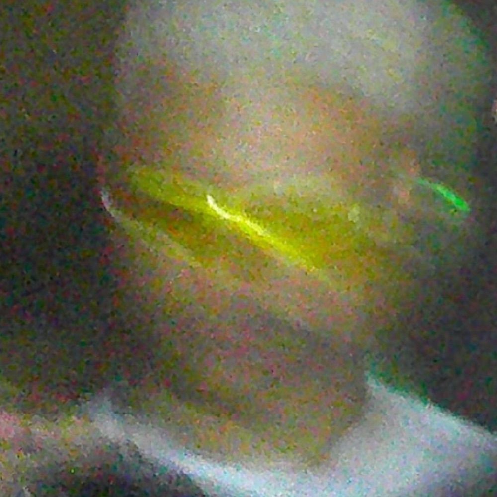 Manu