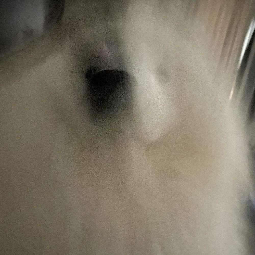 Ð