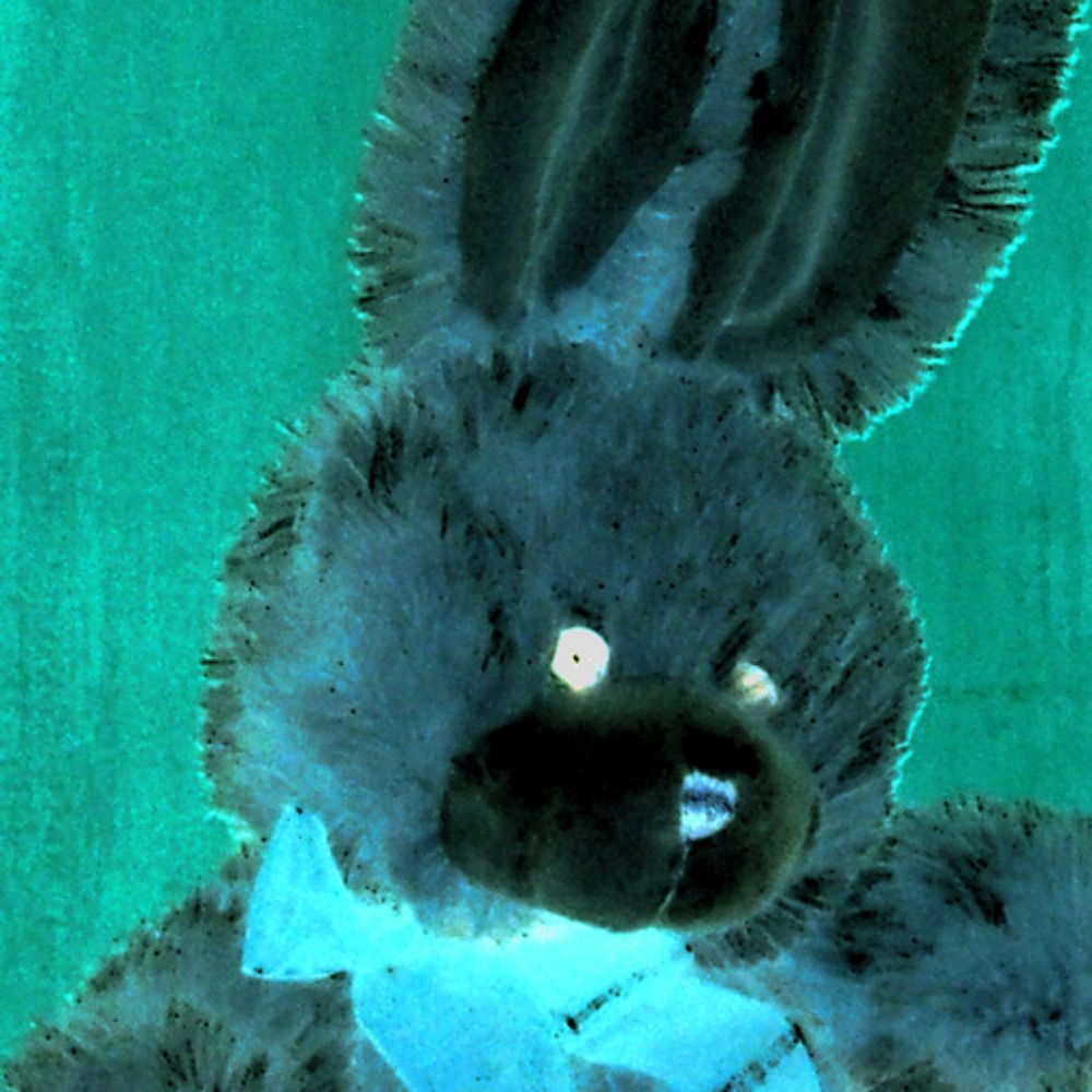 lagomoof ✪ 🐇