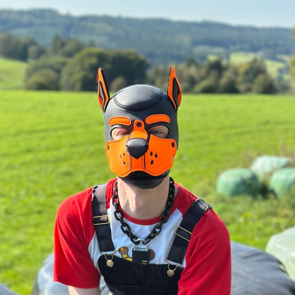 belgianpupnoah