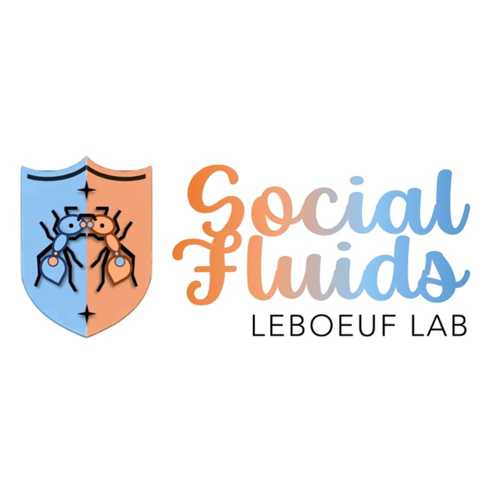The Social Fluids Lab
