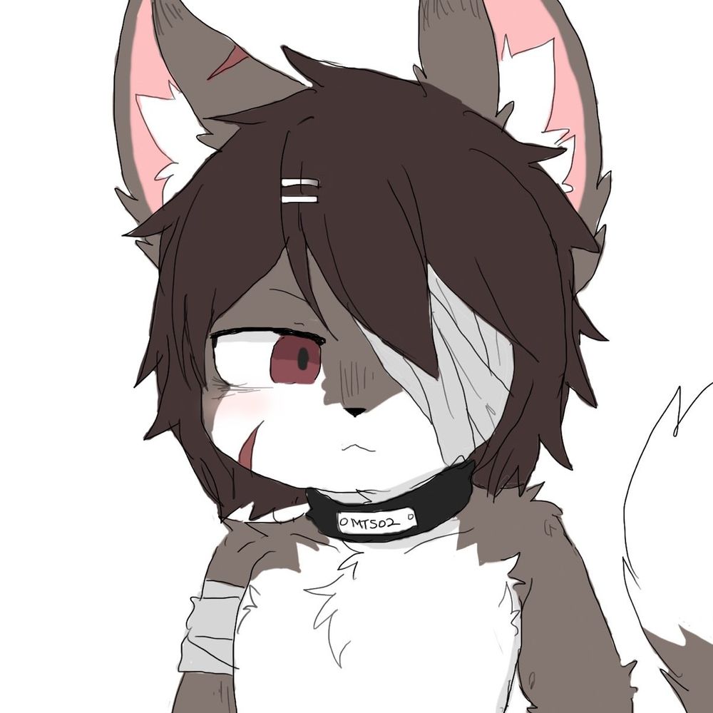 Ookami