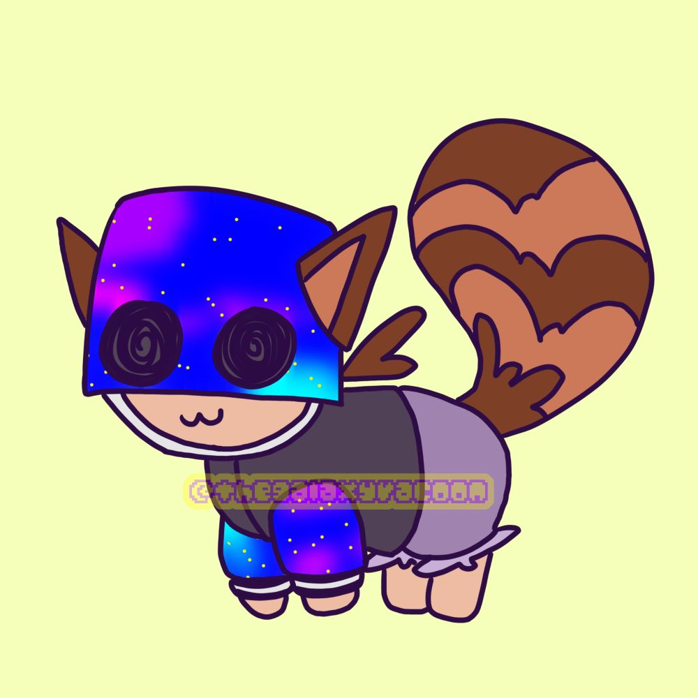 The Racoon