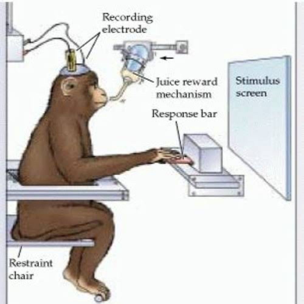 gui