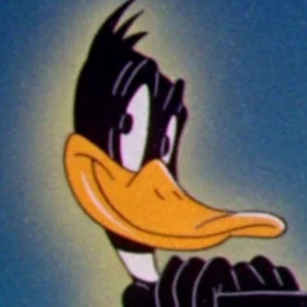 duckamuck2002.bsky.social