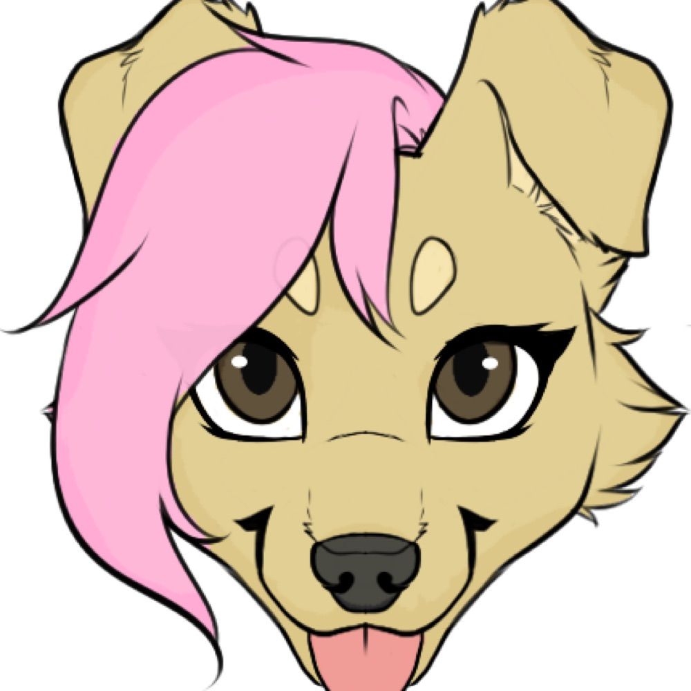 Phoebe Retriever
