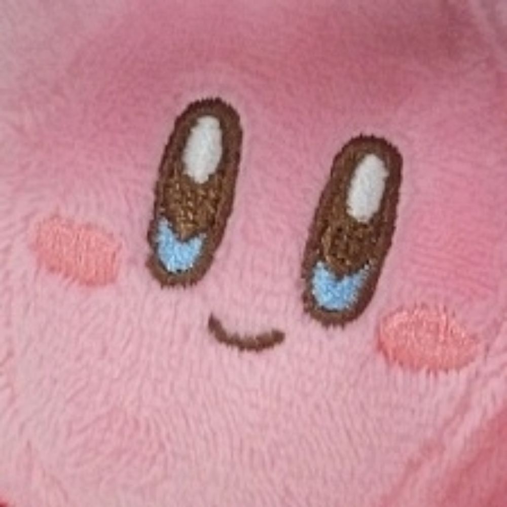 つばさ໒꒱