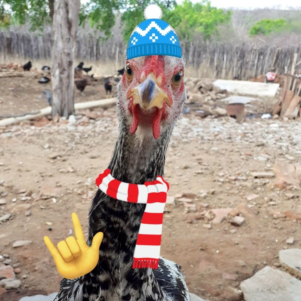 Paty the Duck