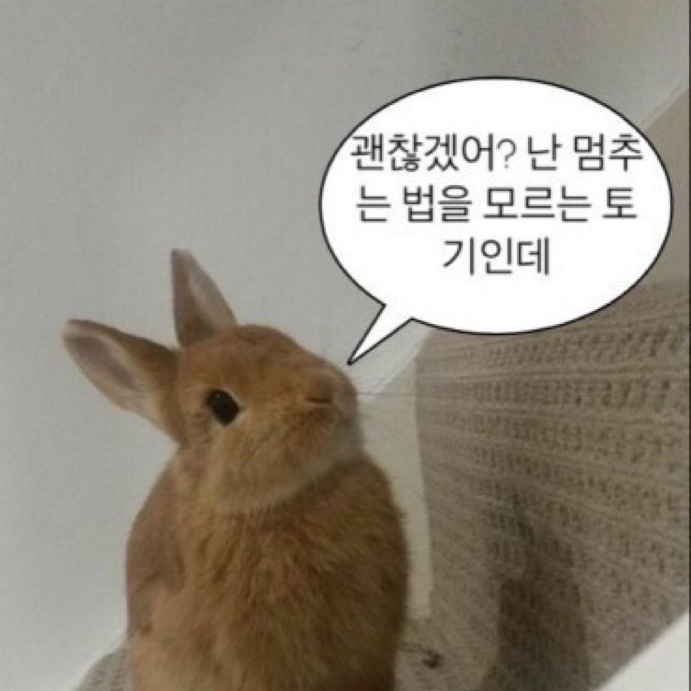 김세라