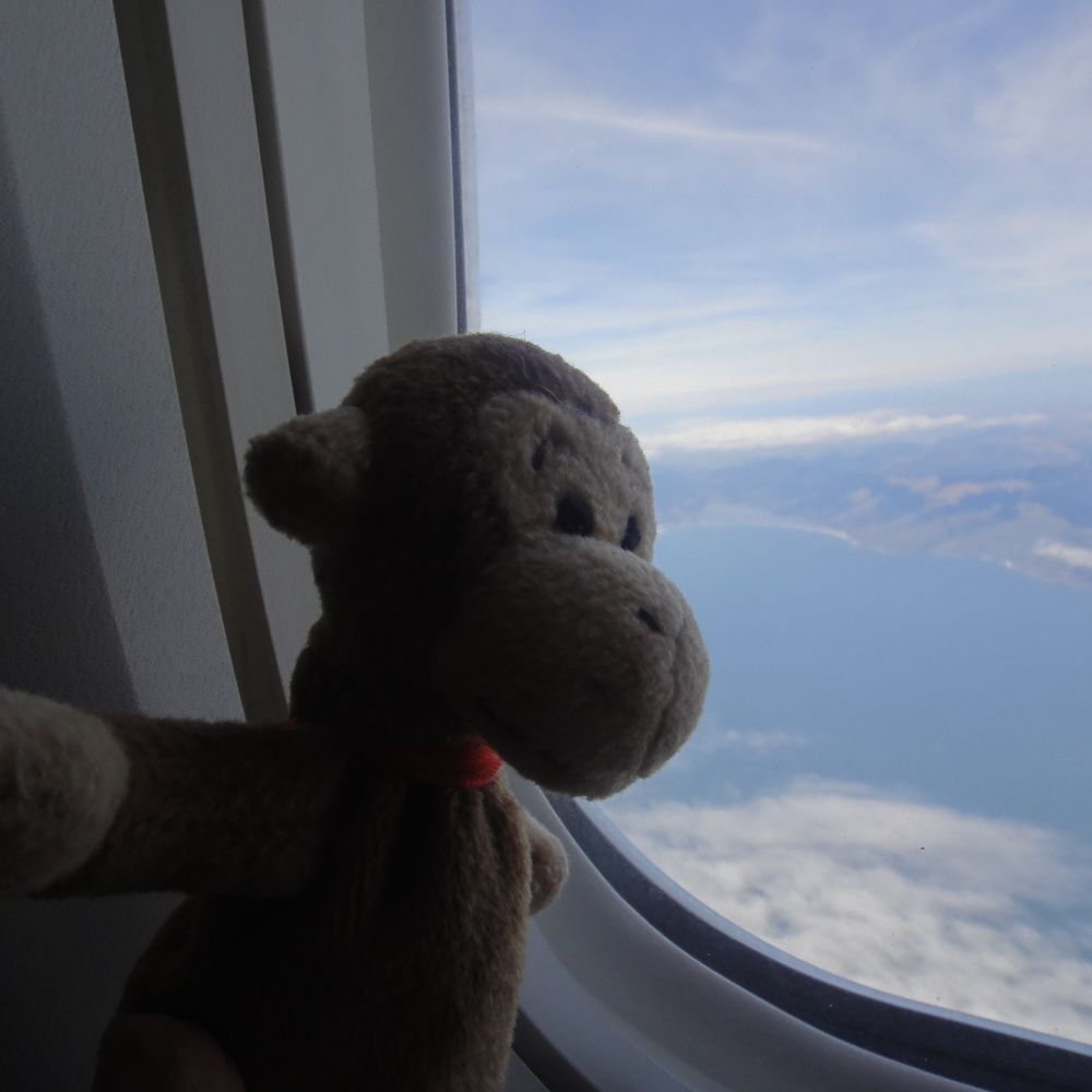 travelmonkey