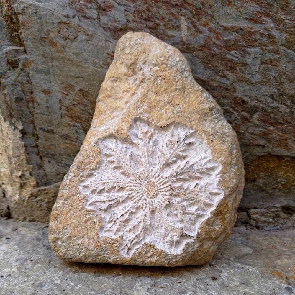 P.Tx. Ilundain