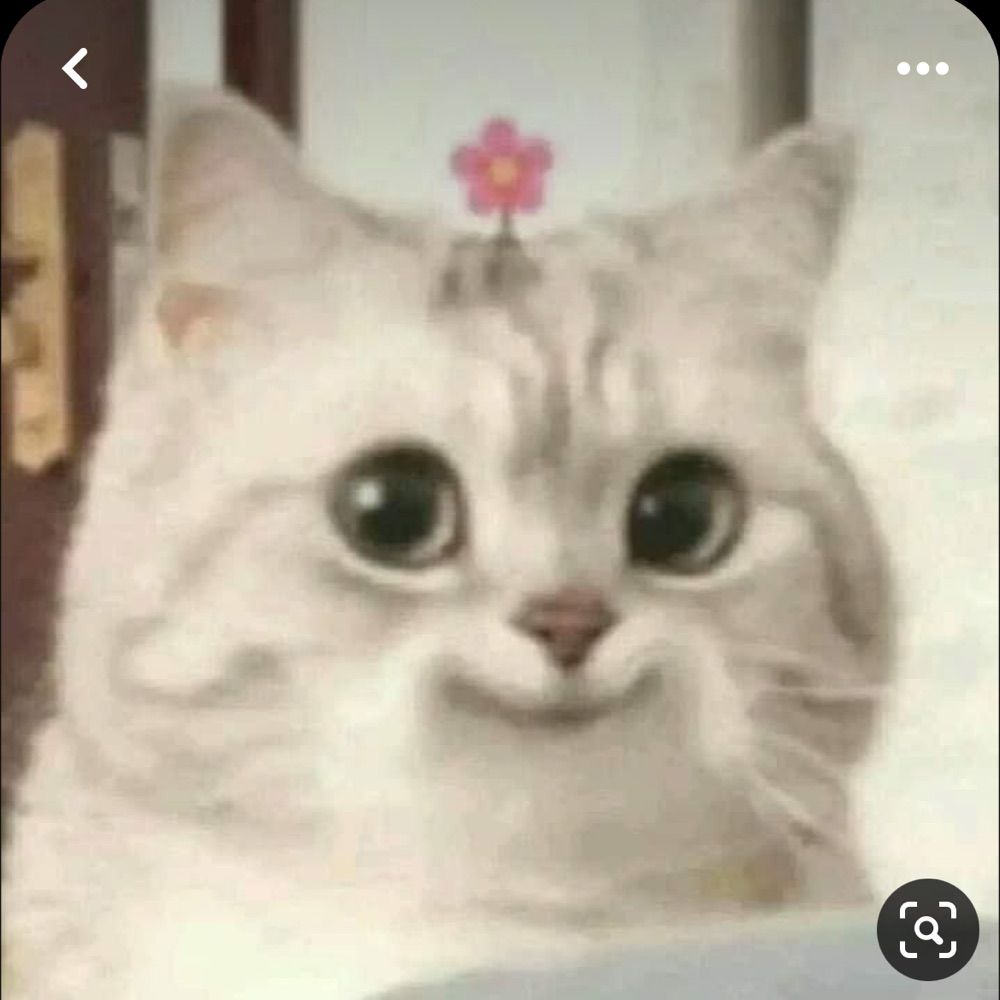 ju