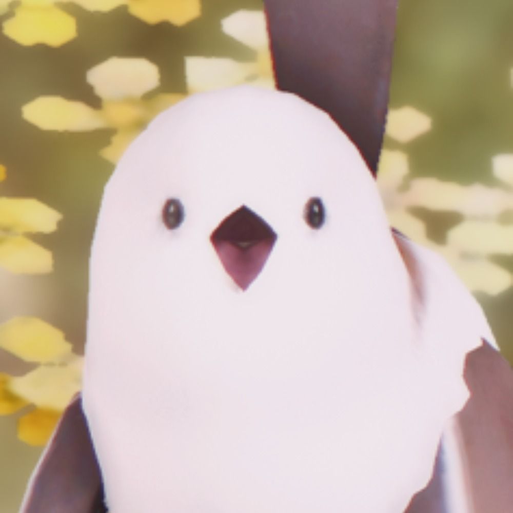 다모