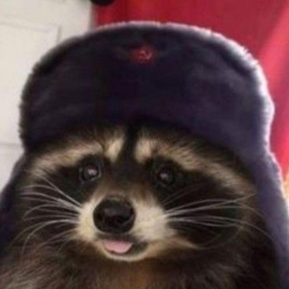 guaxinim comunista🦝☭