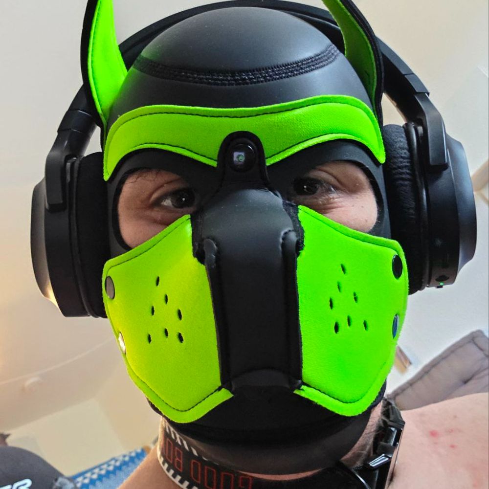 Pup Raze