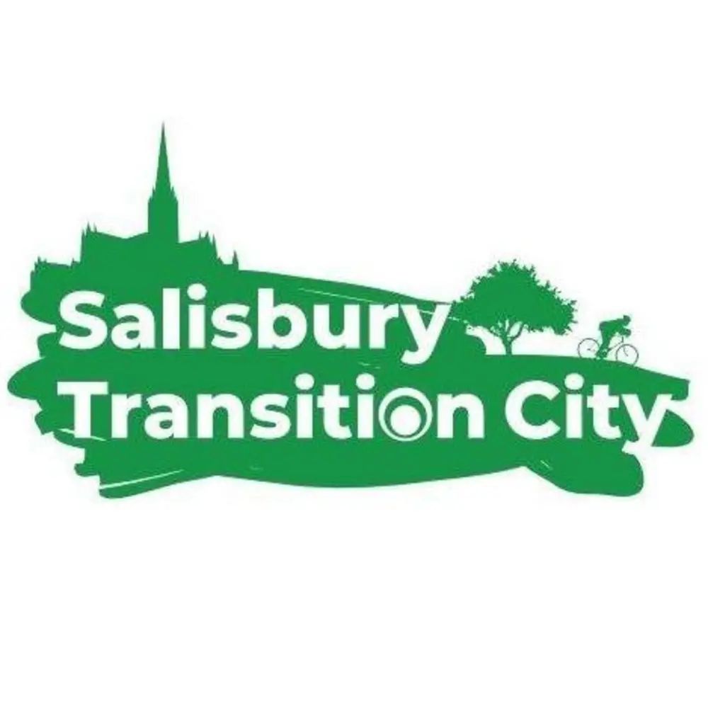 Salisbury Transition City