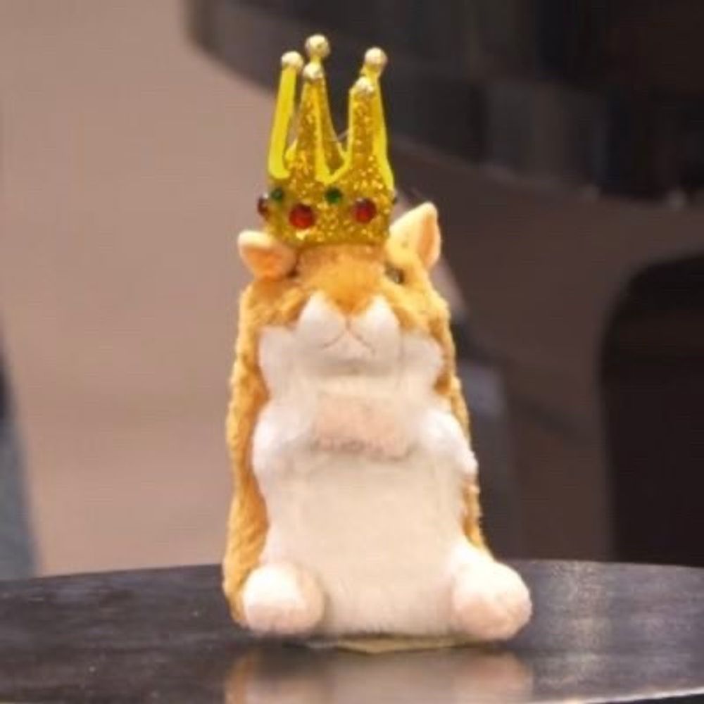 🐹