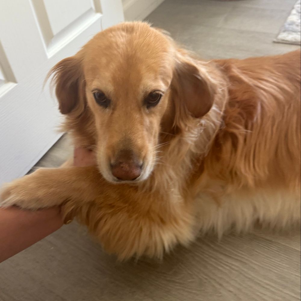 jerbrad28.bsky.social profile picture