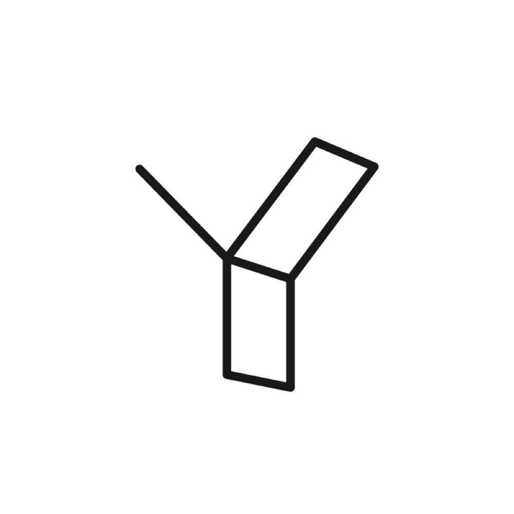 Yaniv Fridman