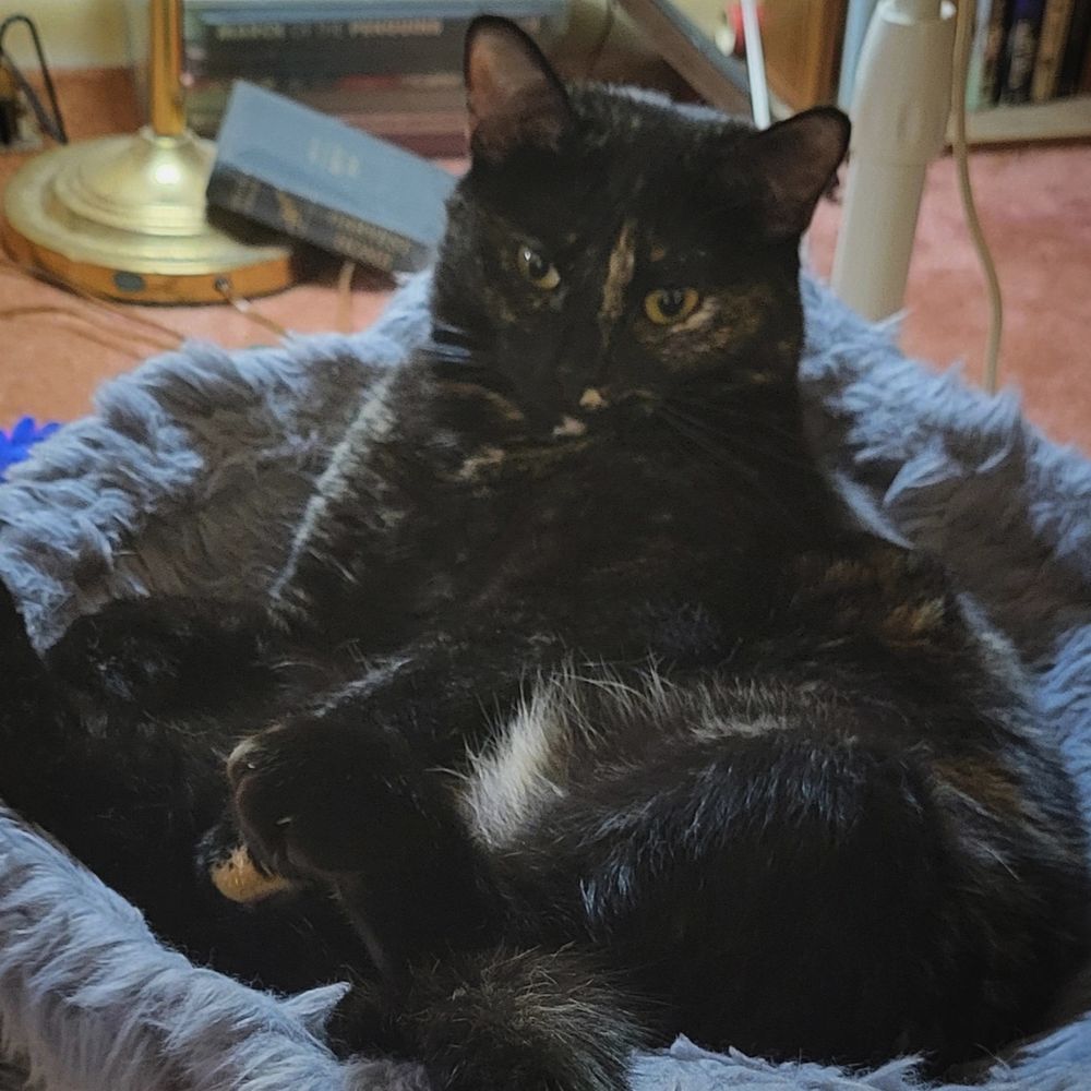 Asa