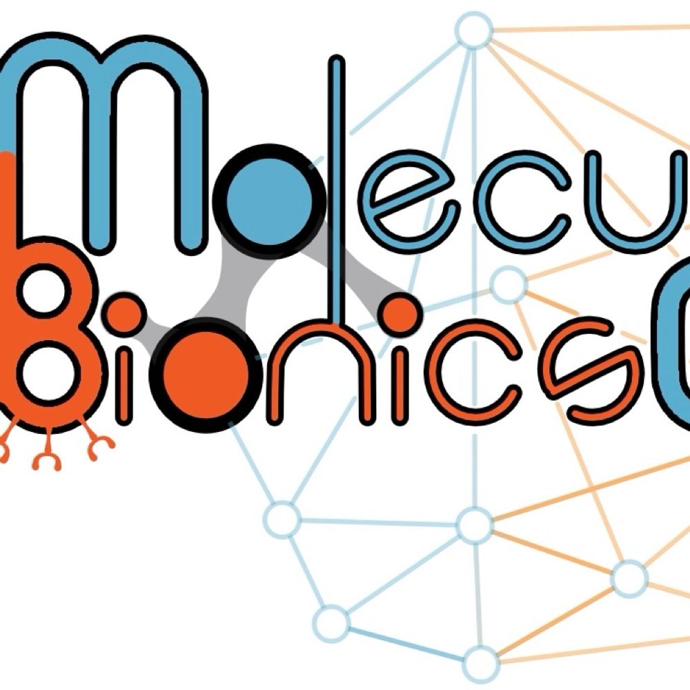 The Molecular Bionics Group