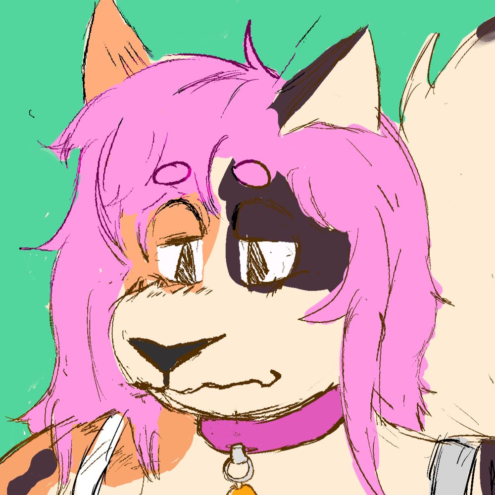 normal sized calico cat