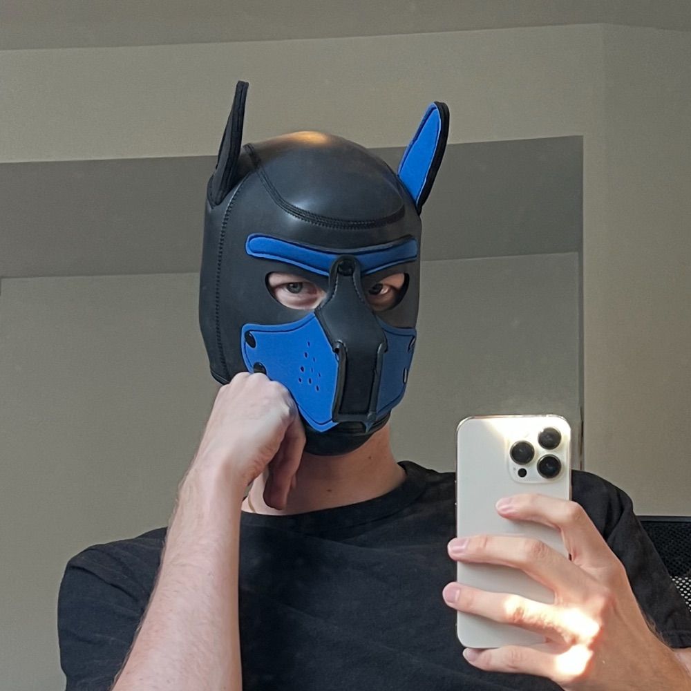 Pup Astro