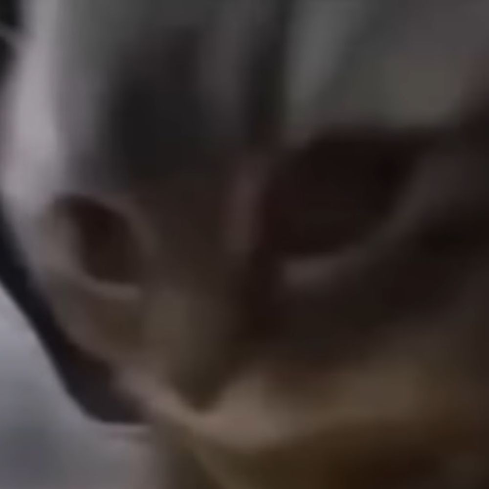 しめ
