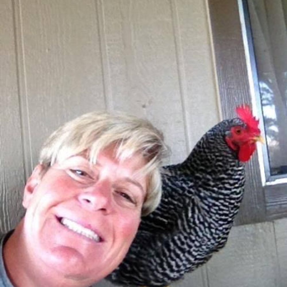Traci Patterson