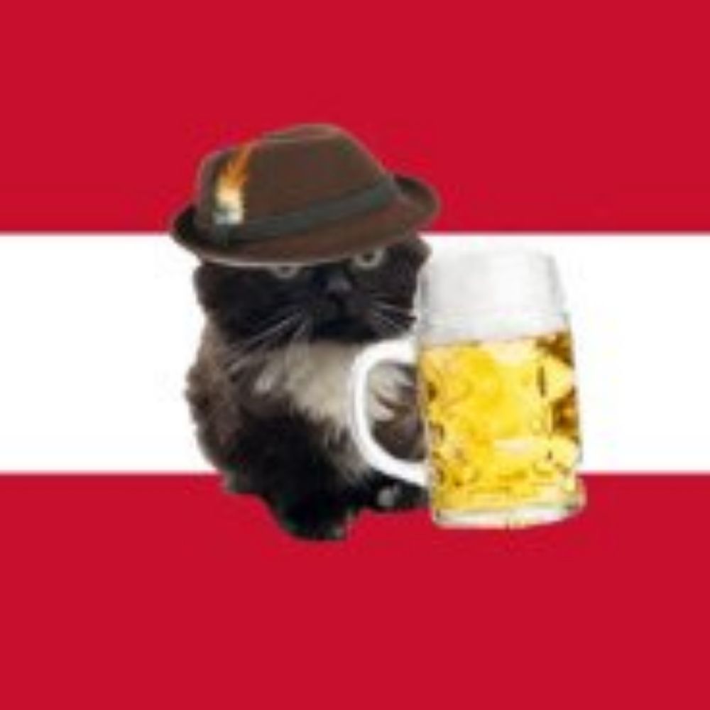Käsemilch