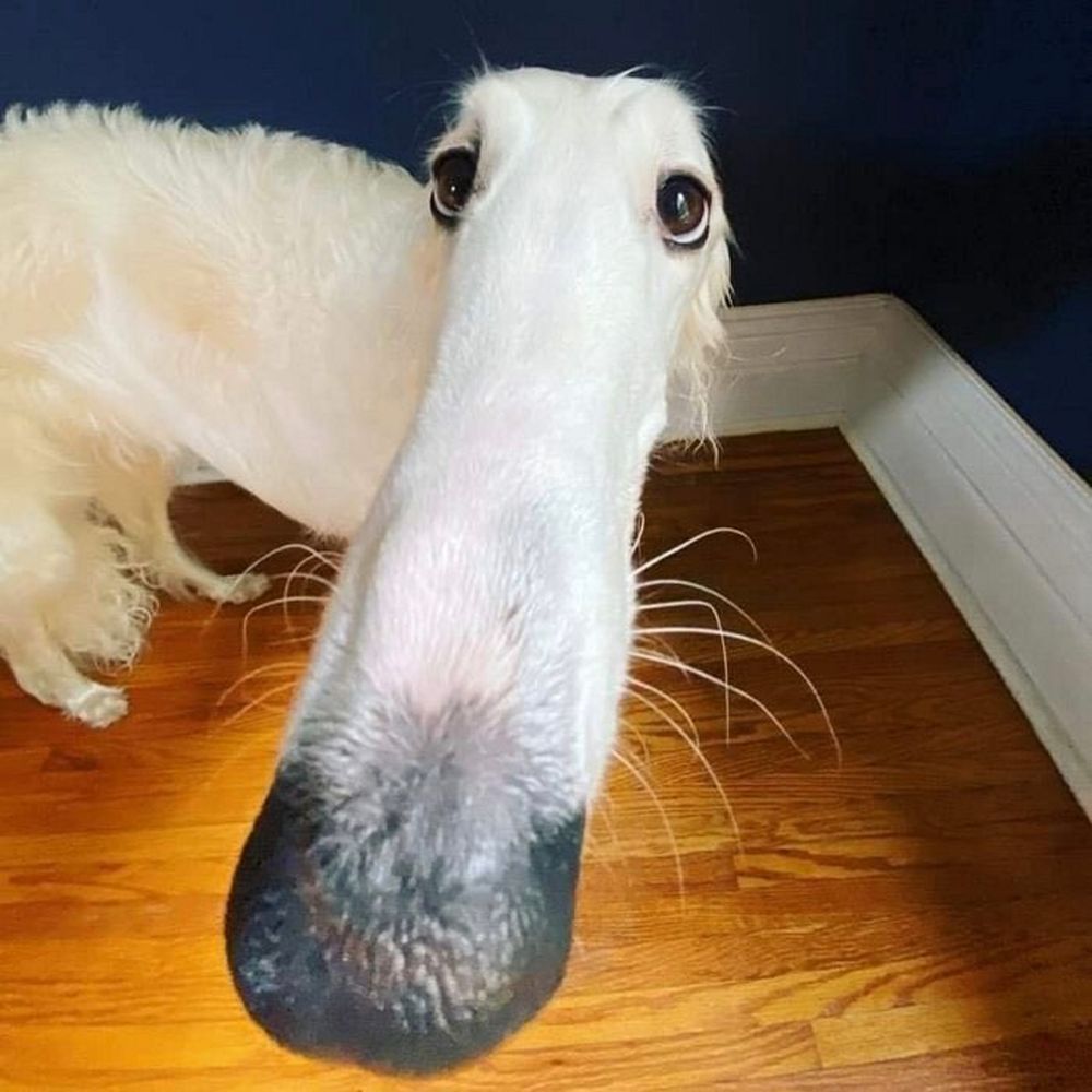 :9