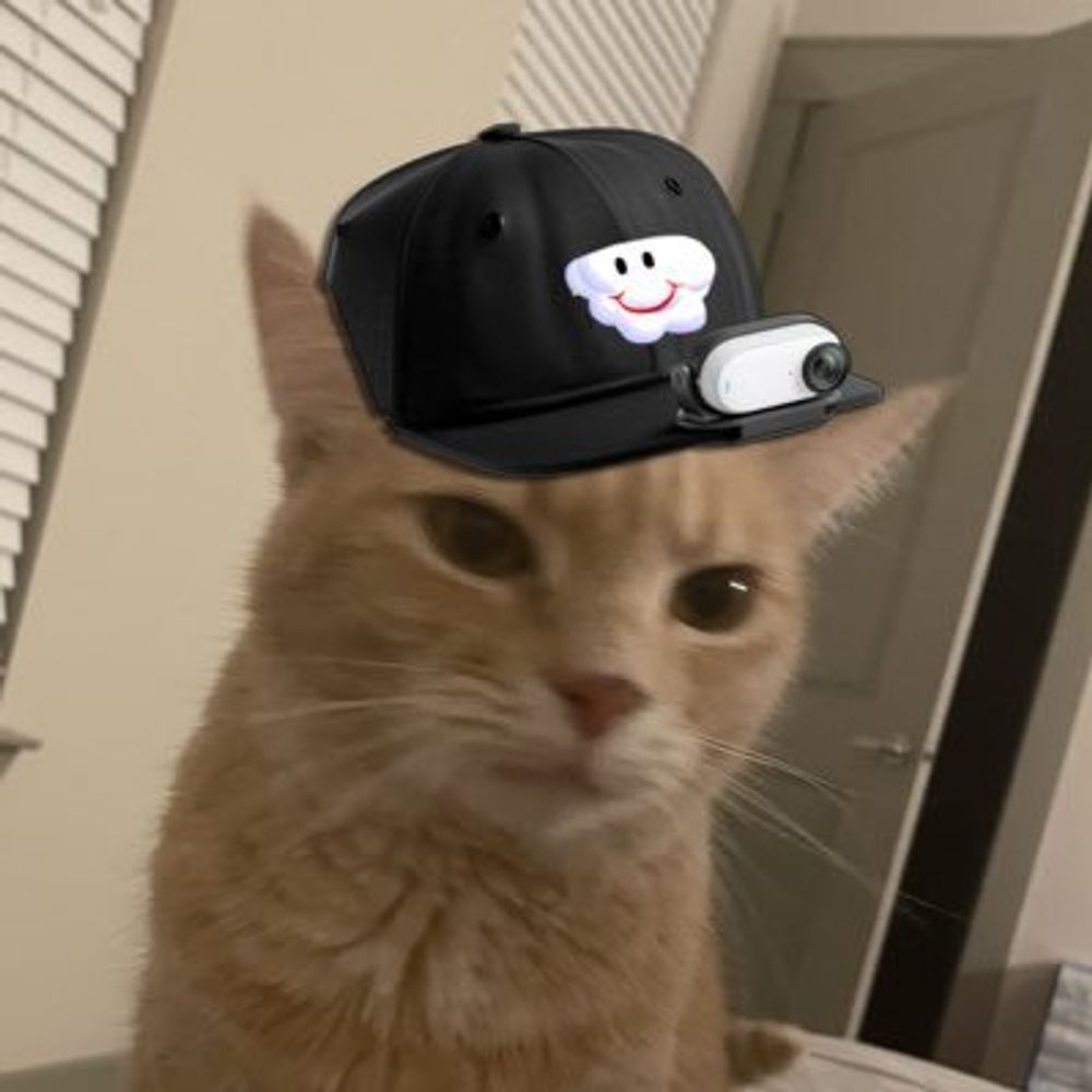 Bot Matt