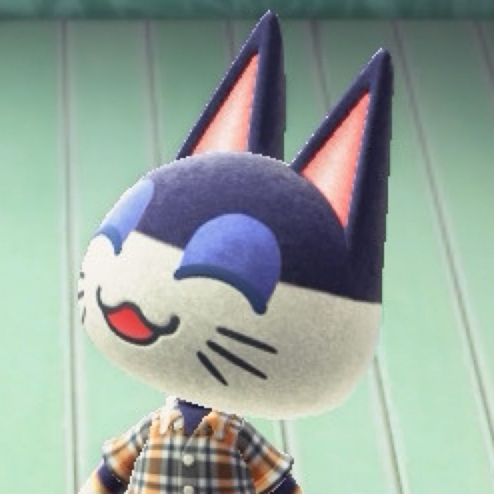 ゆき