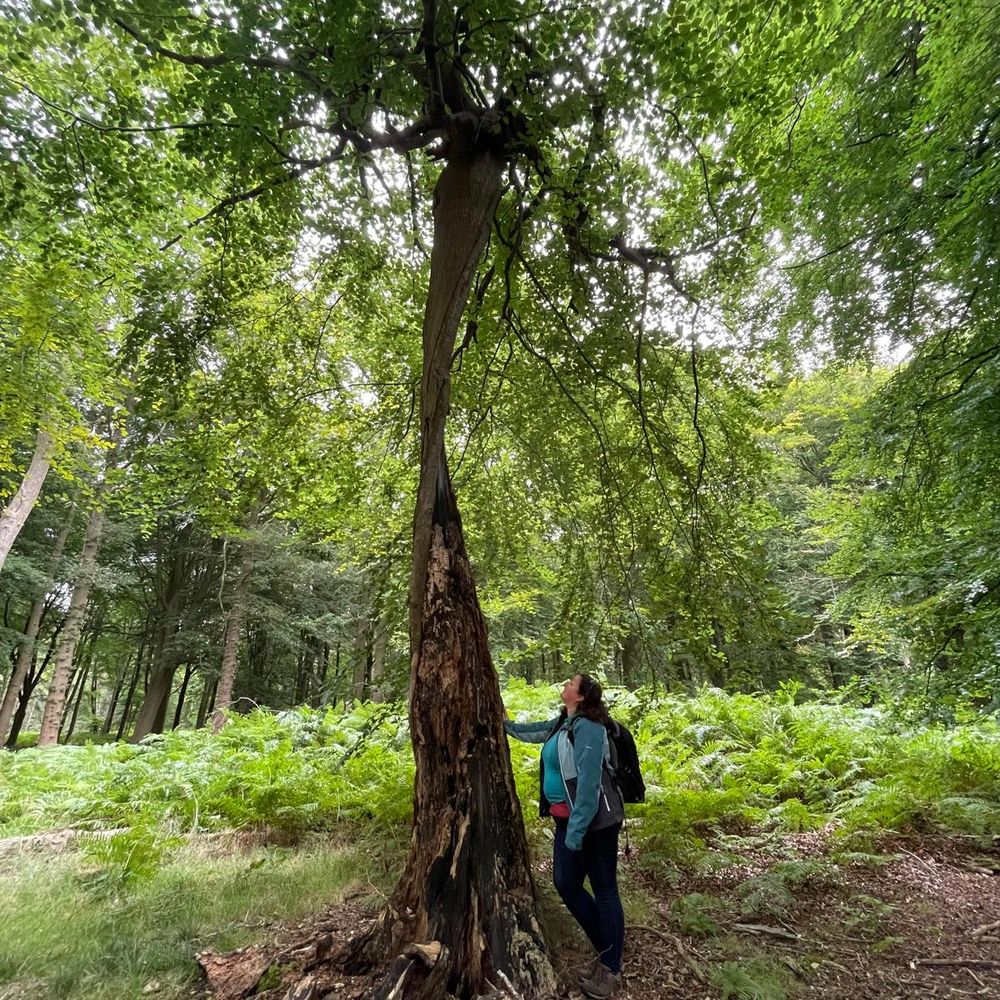 Fiona MacKay - Nurtured By Nature Podcast
