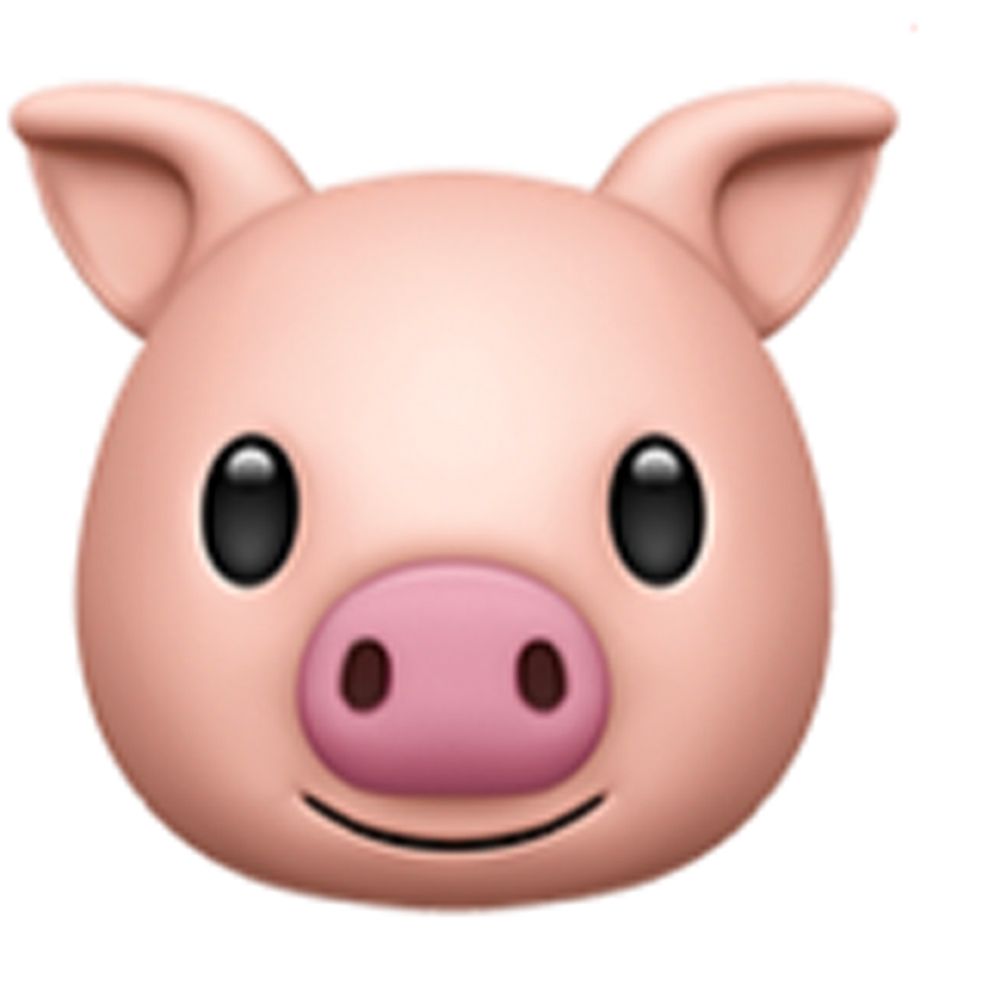 sfbaygaypigbtmdad