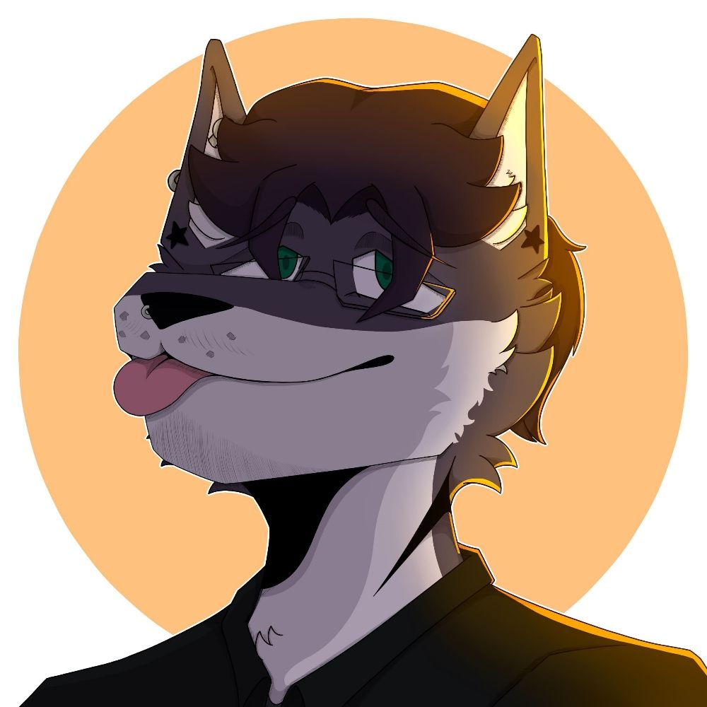 NeoTheHusky