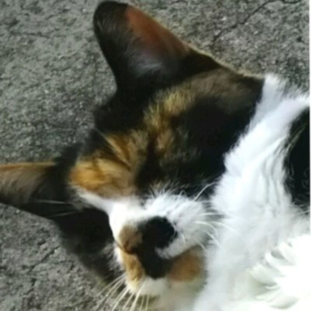 はたらぶ