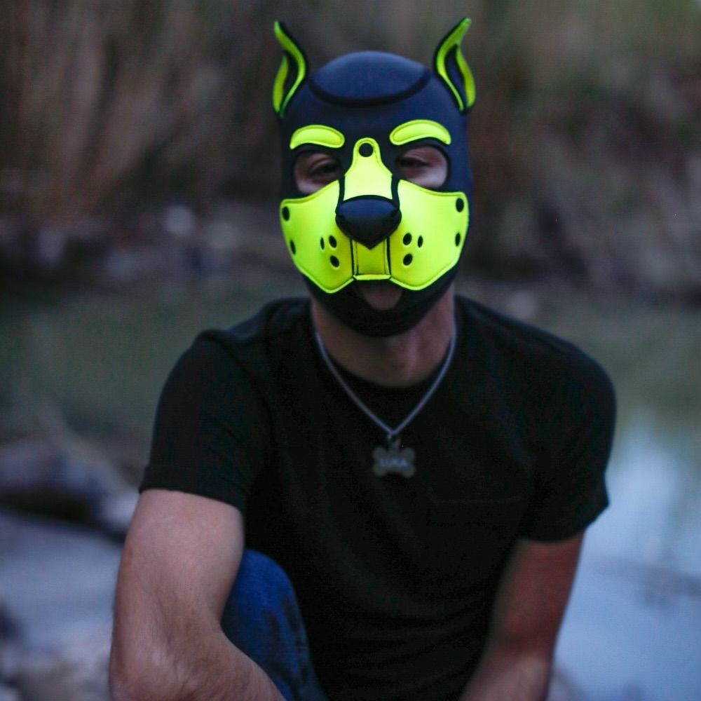 Pup Luka