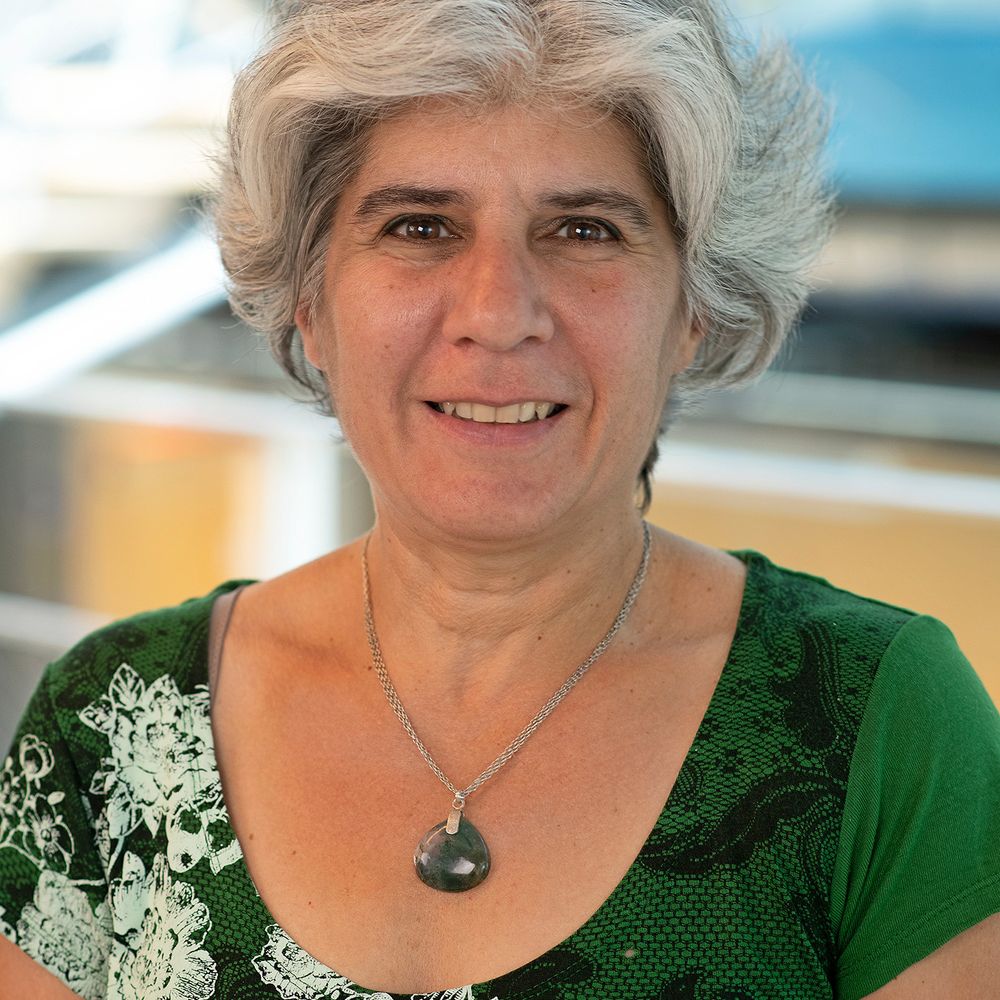 Judy Shamoun-Baranes