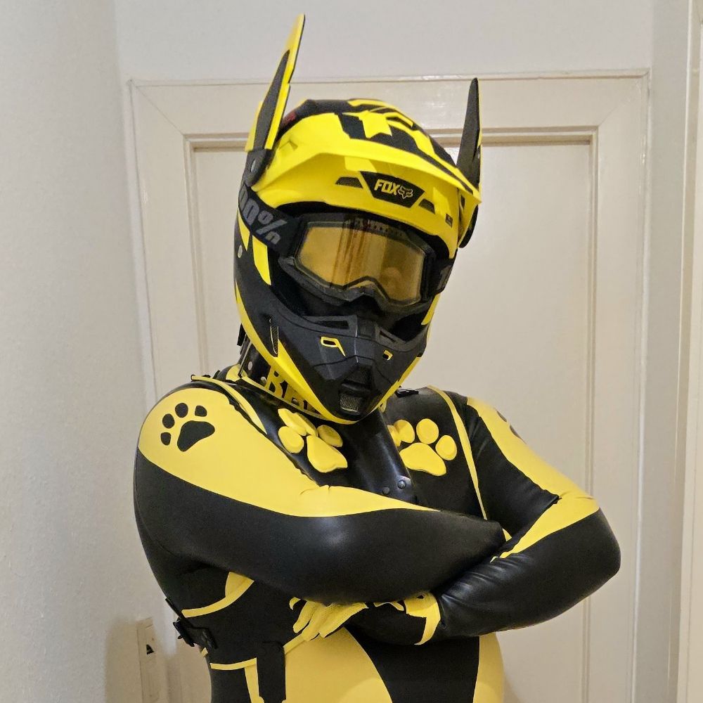 🐾Rubber Dog Bronco 🐾
