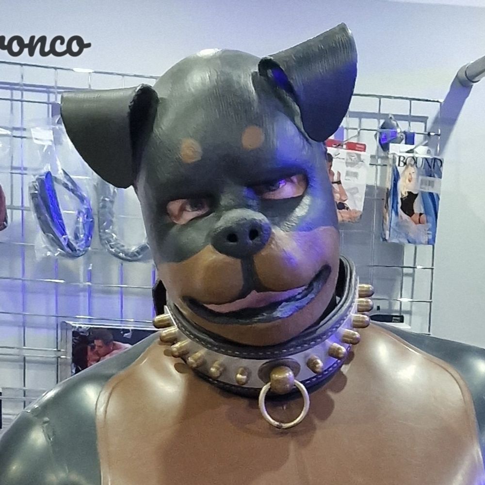 🐾Rubber Dog Bronco 🐾